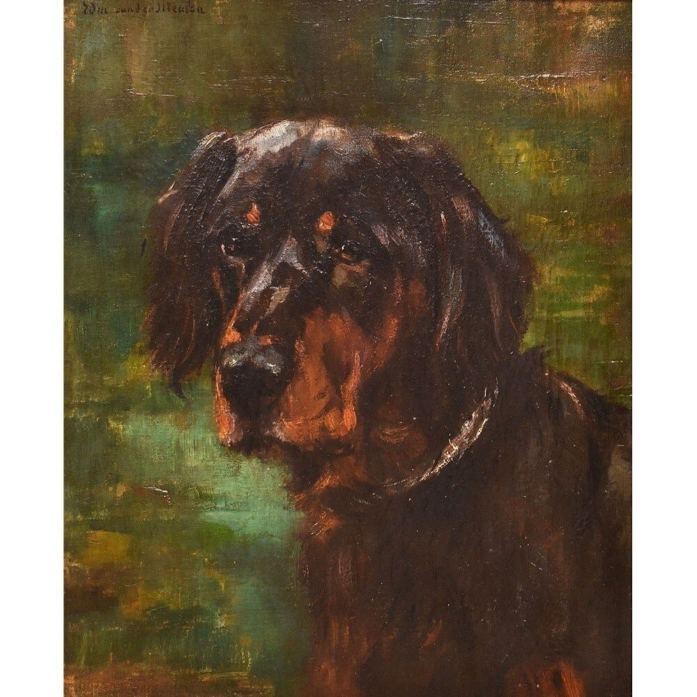 Antique Painting, Black Dogs Portrait, Setter Gordon, Oil On Canvas, 19th Century. (Qa660) photo furniture