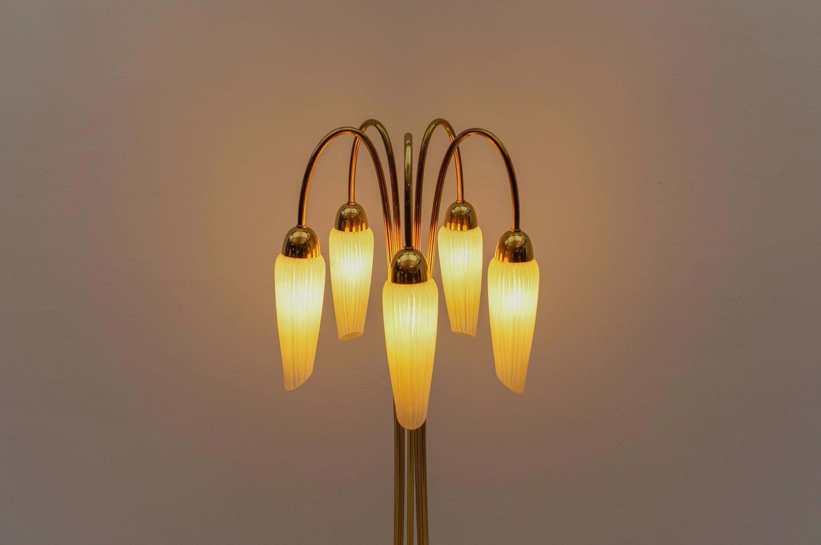 Very Rare Mid Century Modern Floor Lamp With Five Glass Shades, 1950s Italy photo buy