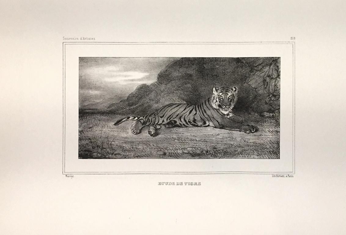 Antoine Louis Baryeetude De Tigre   Lithograph By Antoine Louis Barye   Early 19th Centuryearly 19th Century