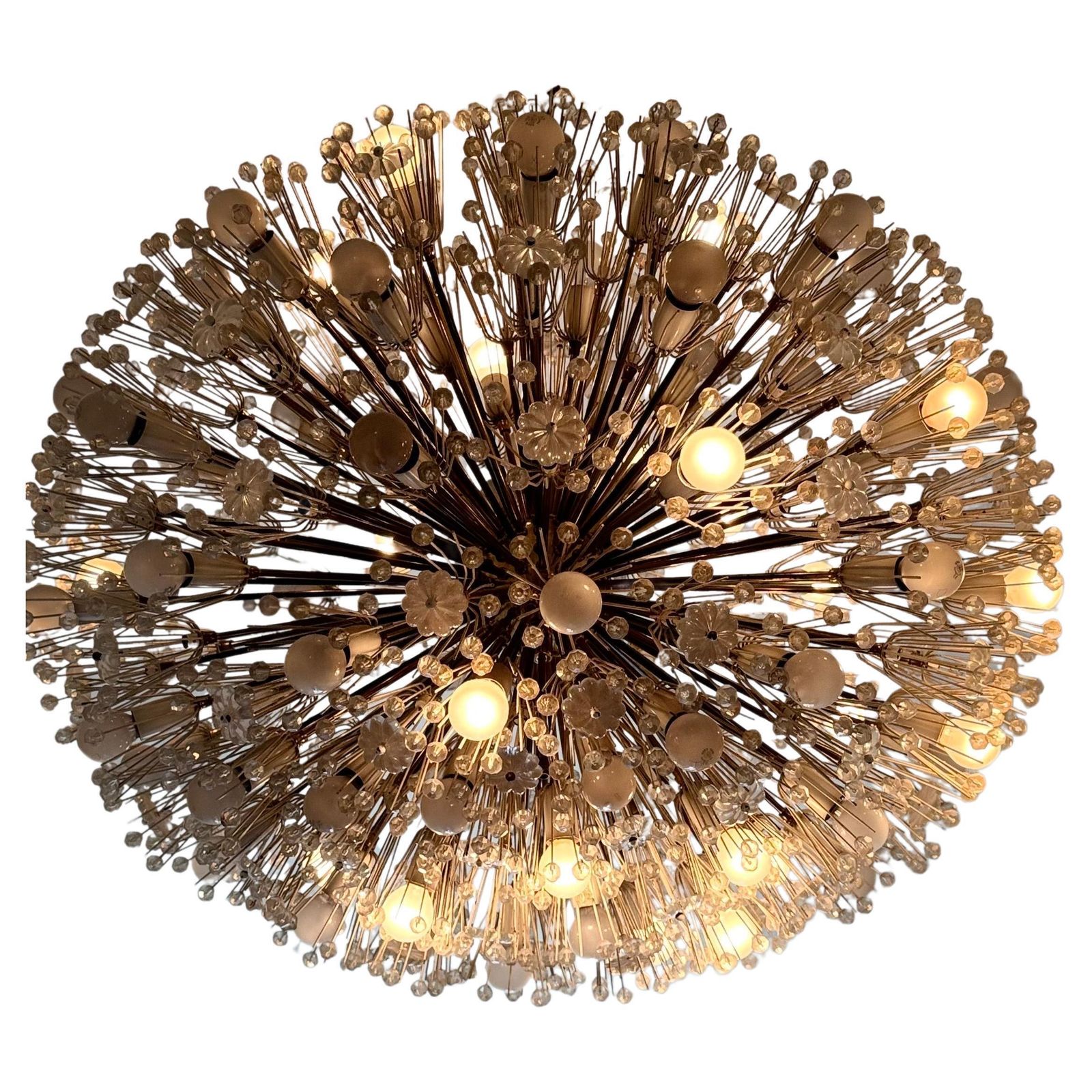 Large Oval Stejnar Flower Glass & Brass Chandelier, Austria, 1950s