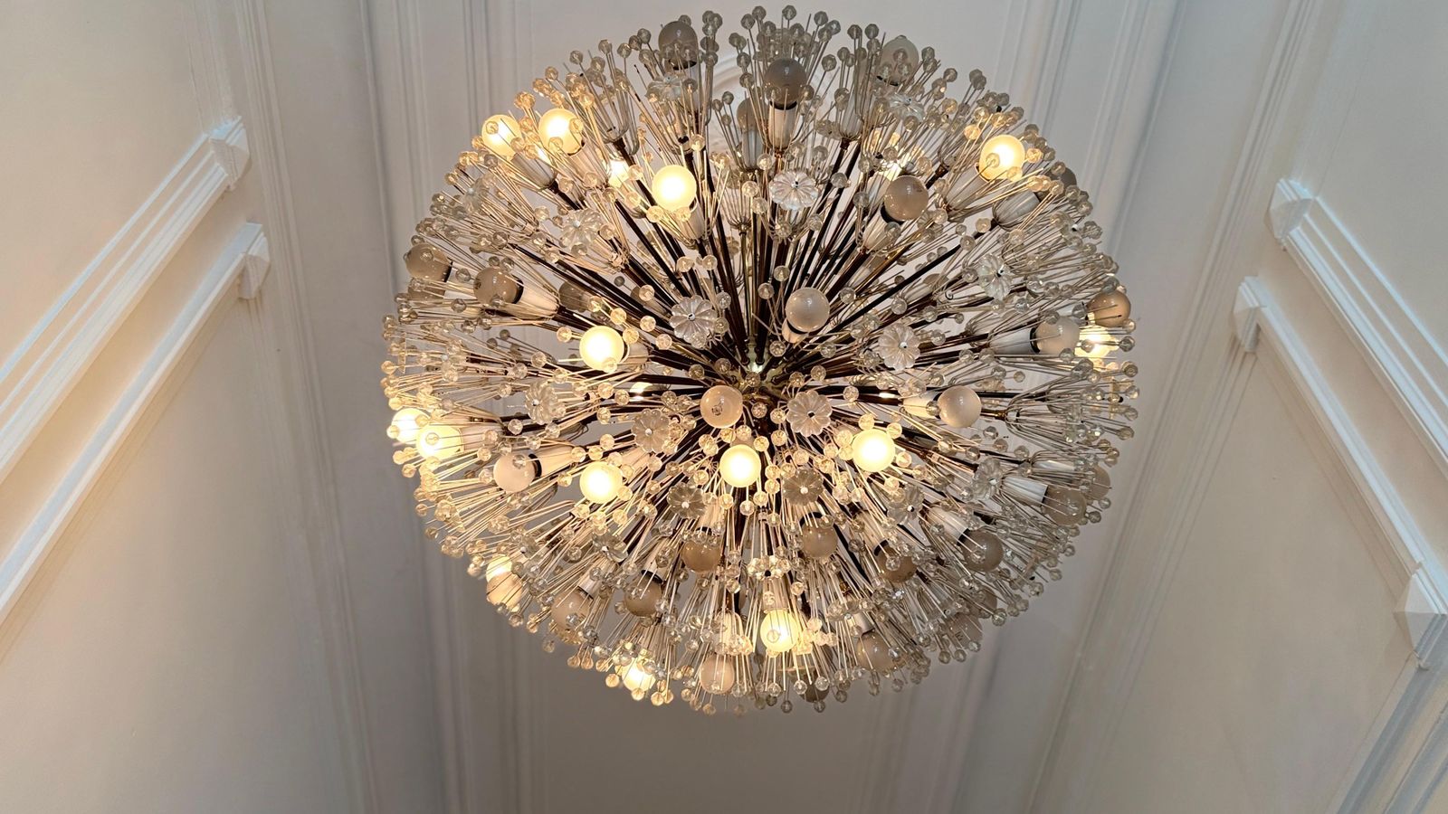 Lighting Large Oval Stejnar Flower Glass & Brass Chandelier, Austria, 1950s photo