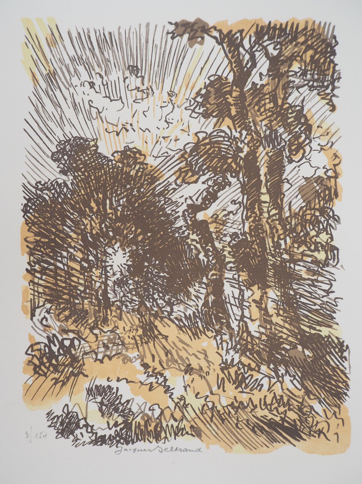 Camille Beltrandwild Forest   Original Wooodcut, Handsigned & Numbered1923