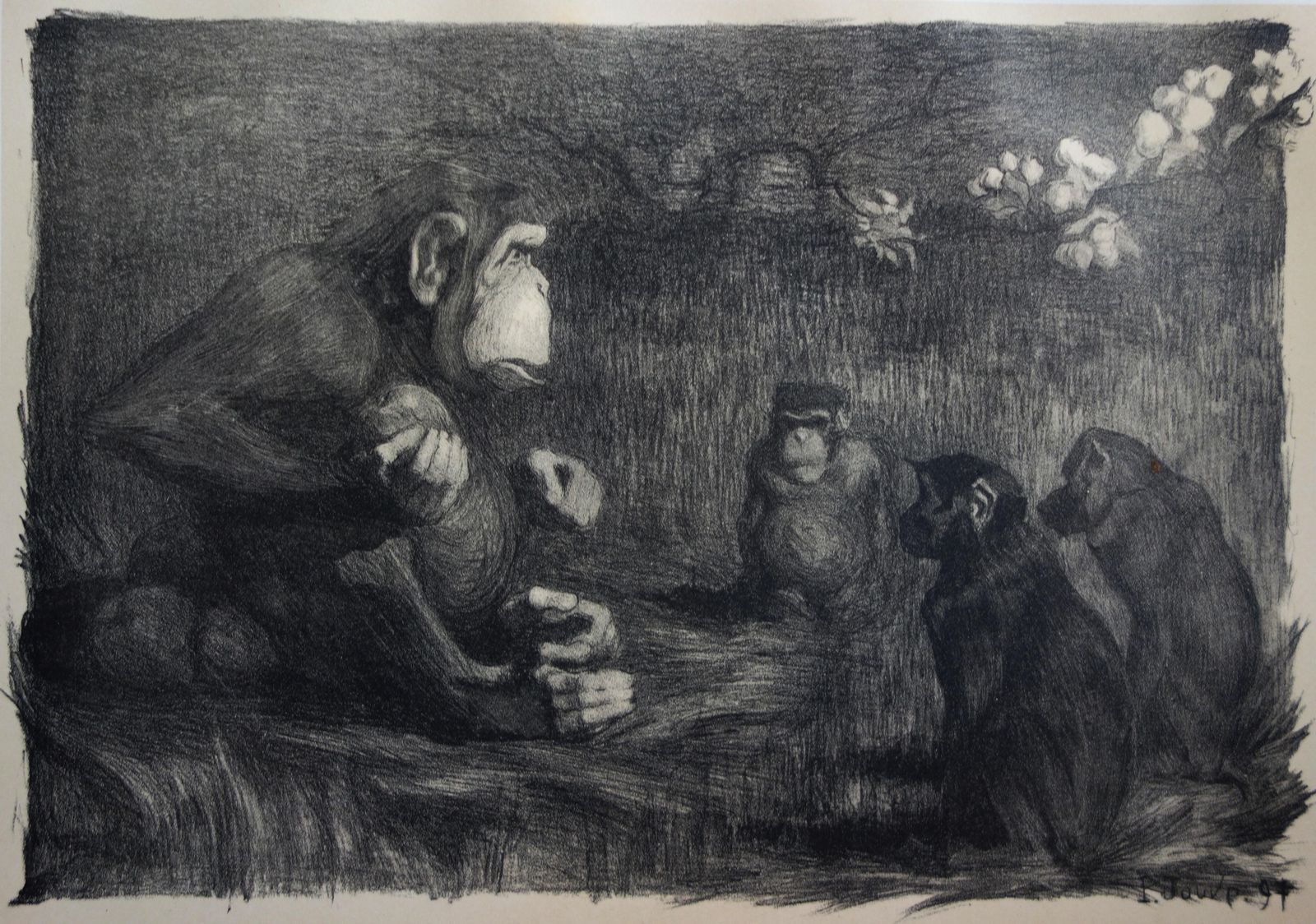 Paul Jouvemonkey Business : The Judgment Of Paris   Original Lithograph, 18971897