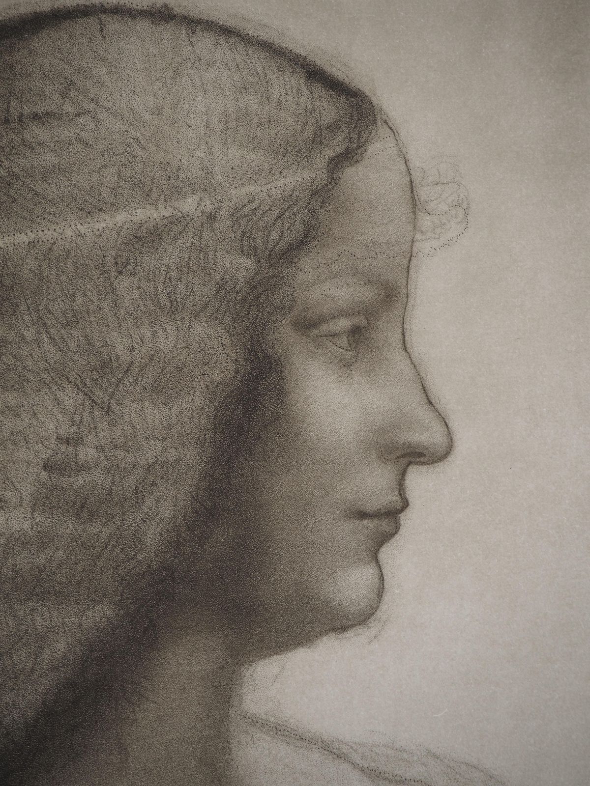 Portrait Of Isabella D'este   Etching From Louvre Museum photo for sale