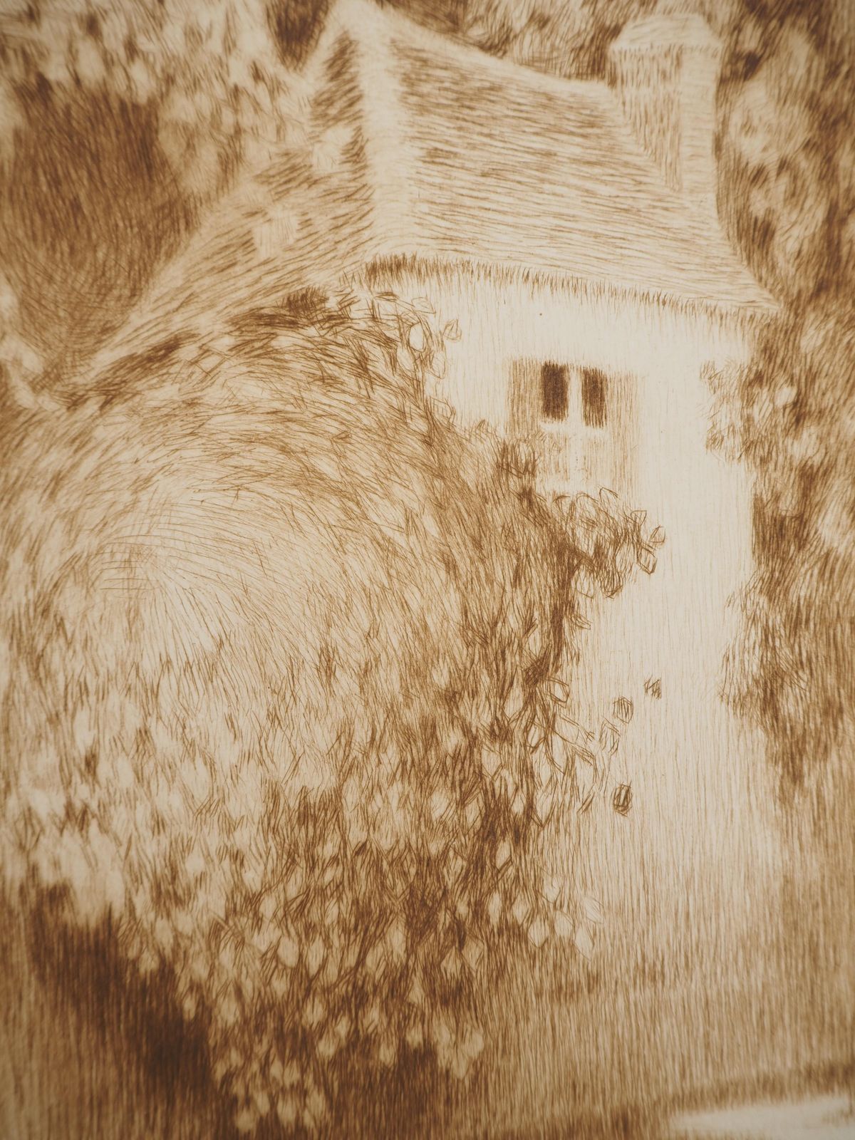 Henri Le Sidanerimpressionism : House In The Woods   Original Etching1928 photo Art