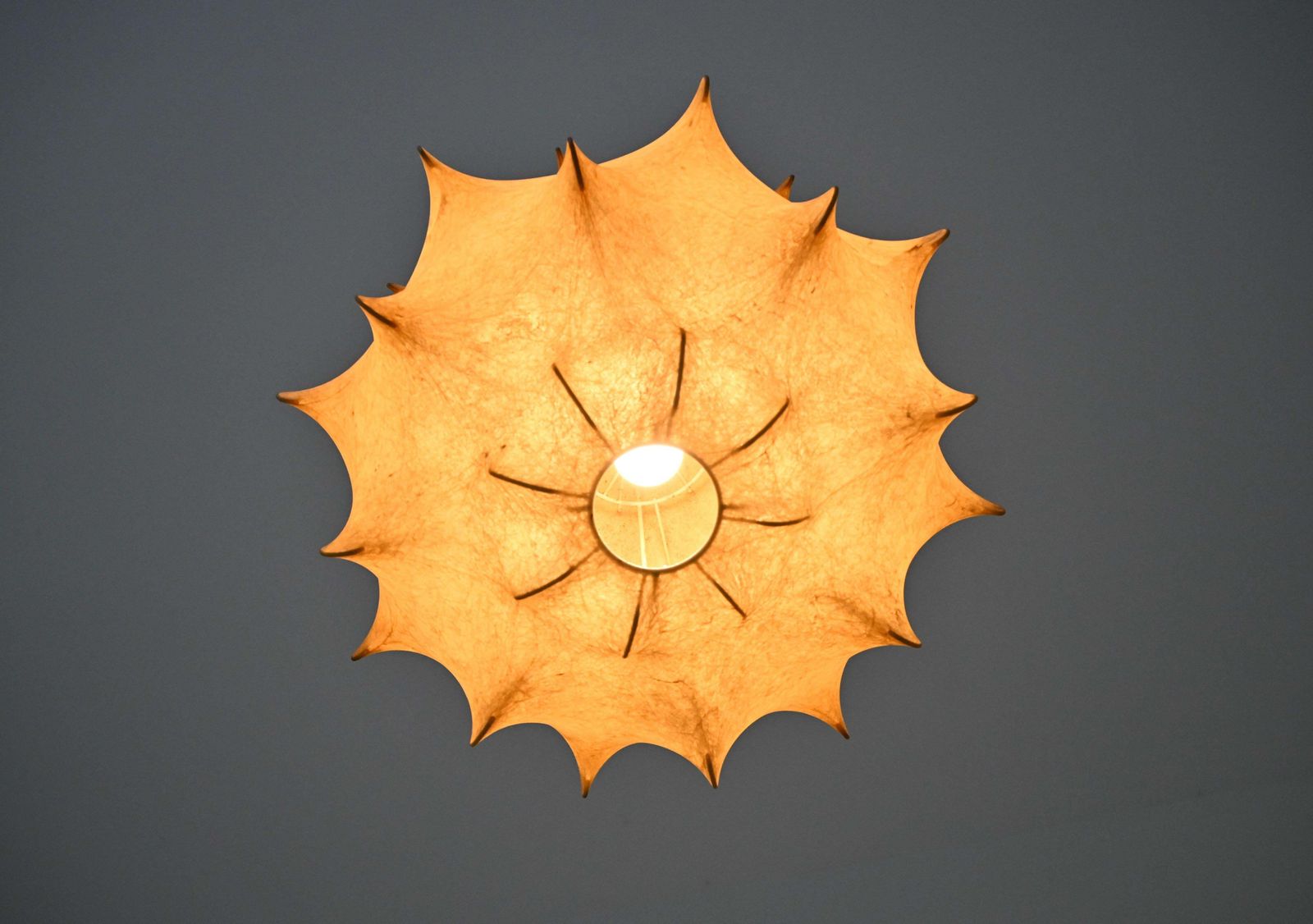 photo furniture Taraxacum Hanging Lamp By Achille & Pier Giacomo Castiglioni For Flos, 1960s