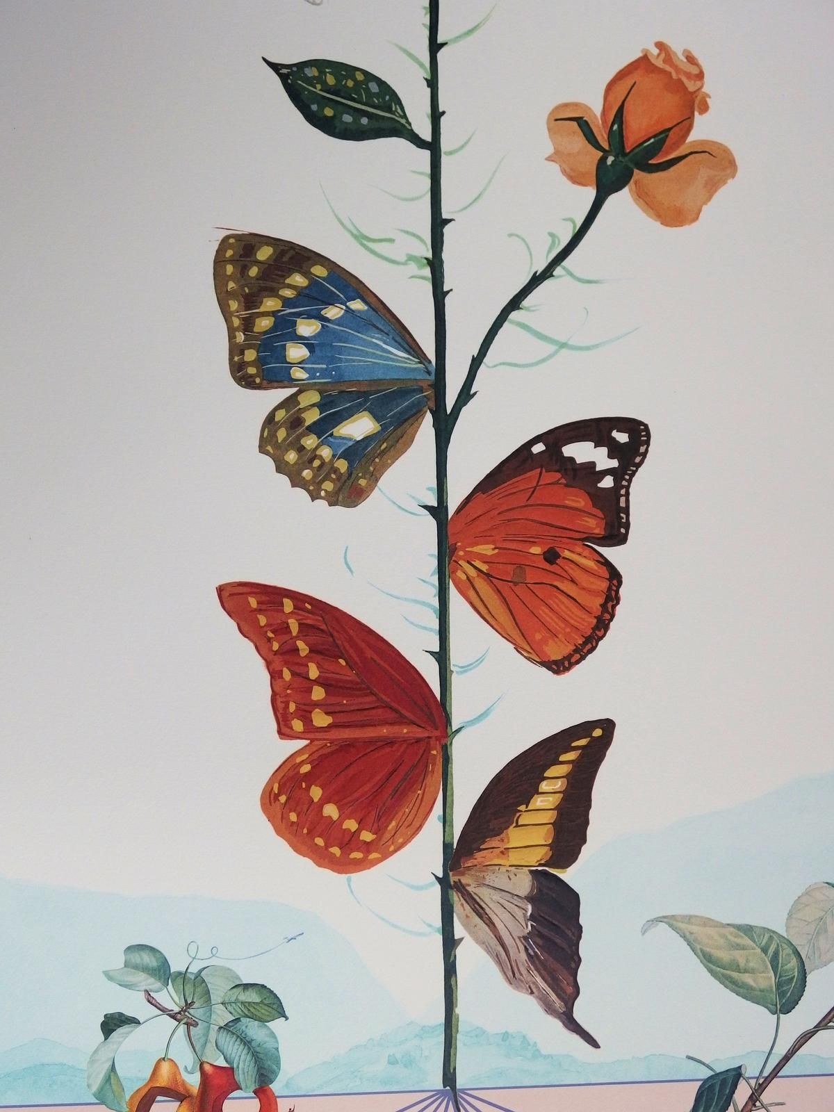 Salvador Dali, Flordali II, Butterfly Rose 1981 photo Art