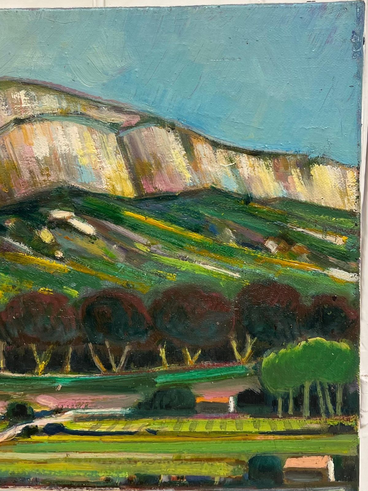 Max Toutainlavender Fields Below The Mossy Valley Cliffs French Post Impressionist Painting photo 999.0
