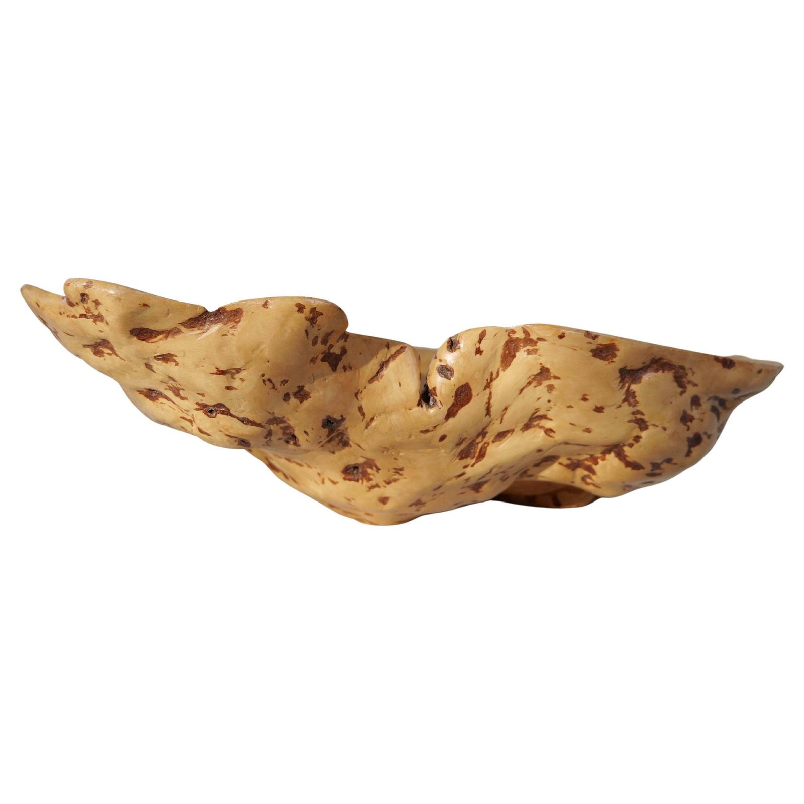 Swedish Folk Art Exeptional Large Organic Burl Curly Birch Bowl, 1980s