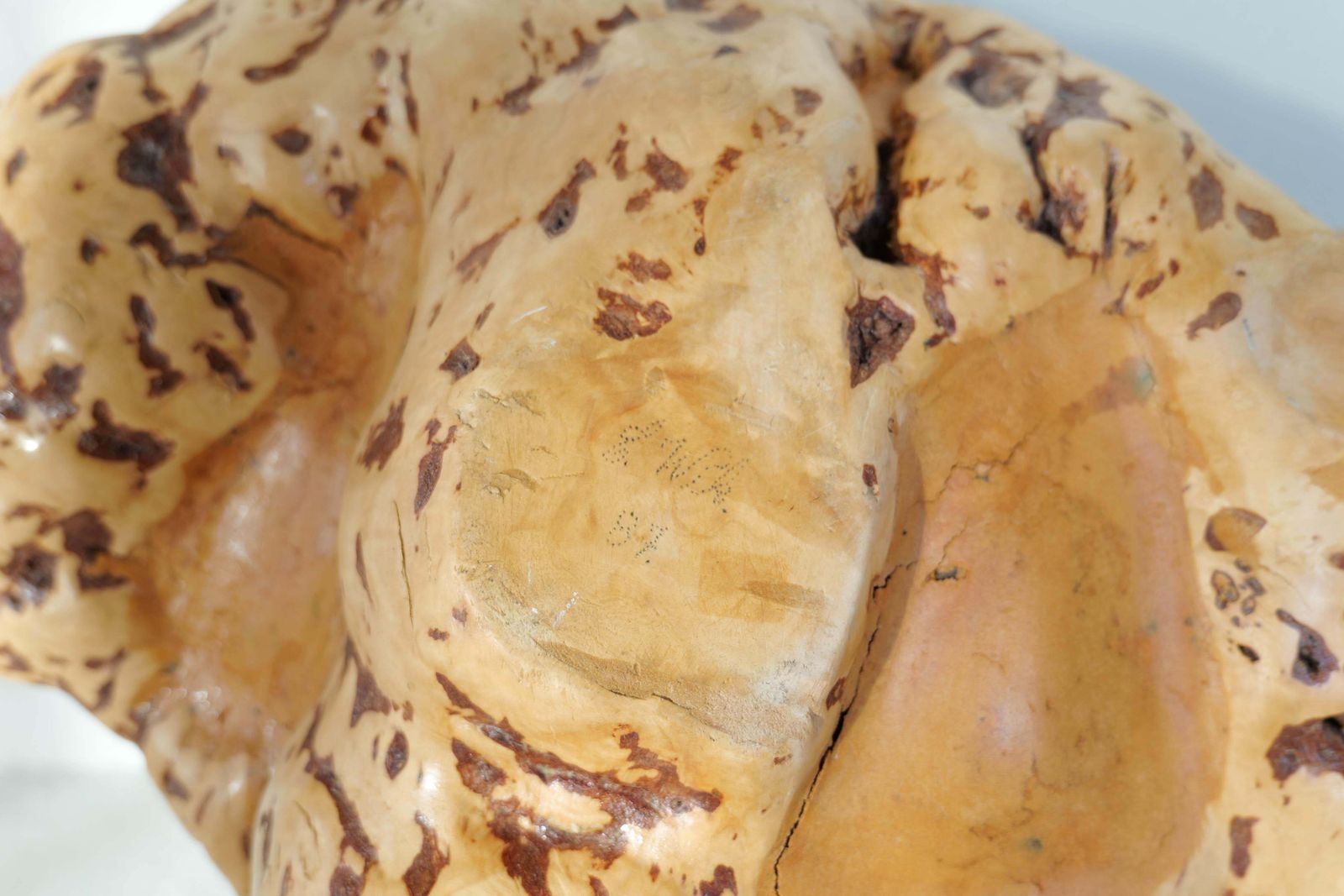 photo vintage Swedish Folk Art Exeptional Large Organic Burl Curly Birch Bowl, 1980s