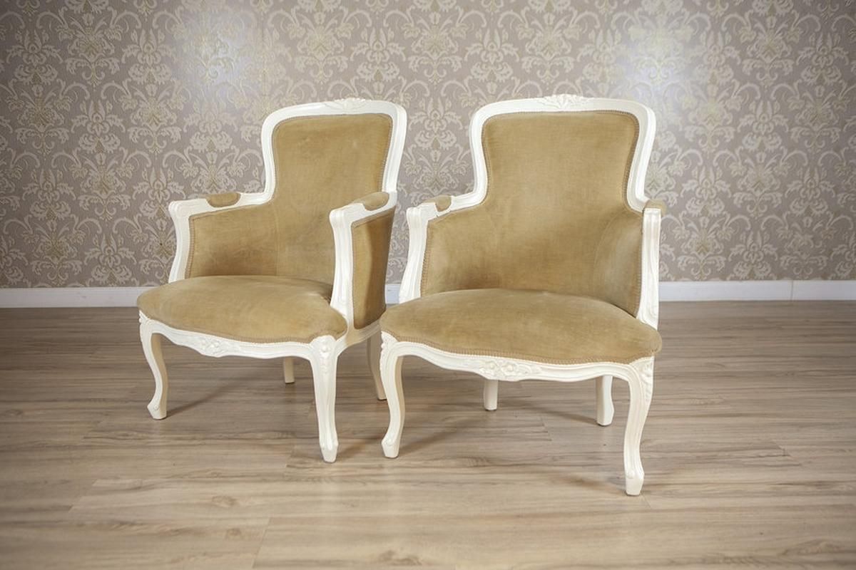 Pair Of Rococo Style Beech Bergere Chairs, Early 20th Century photo furniture