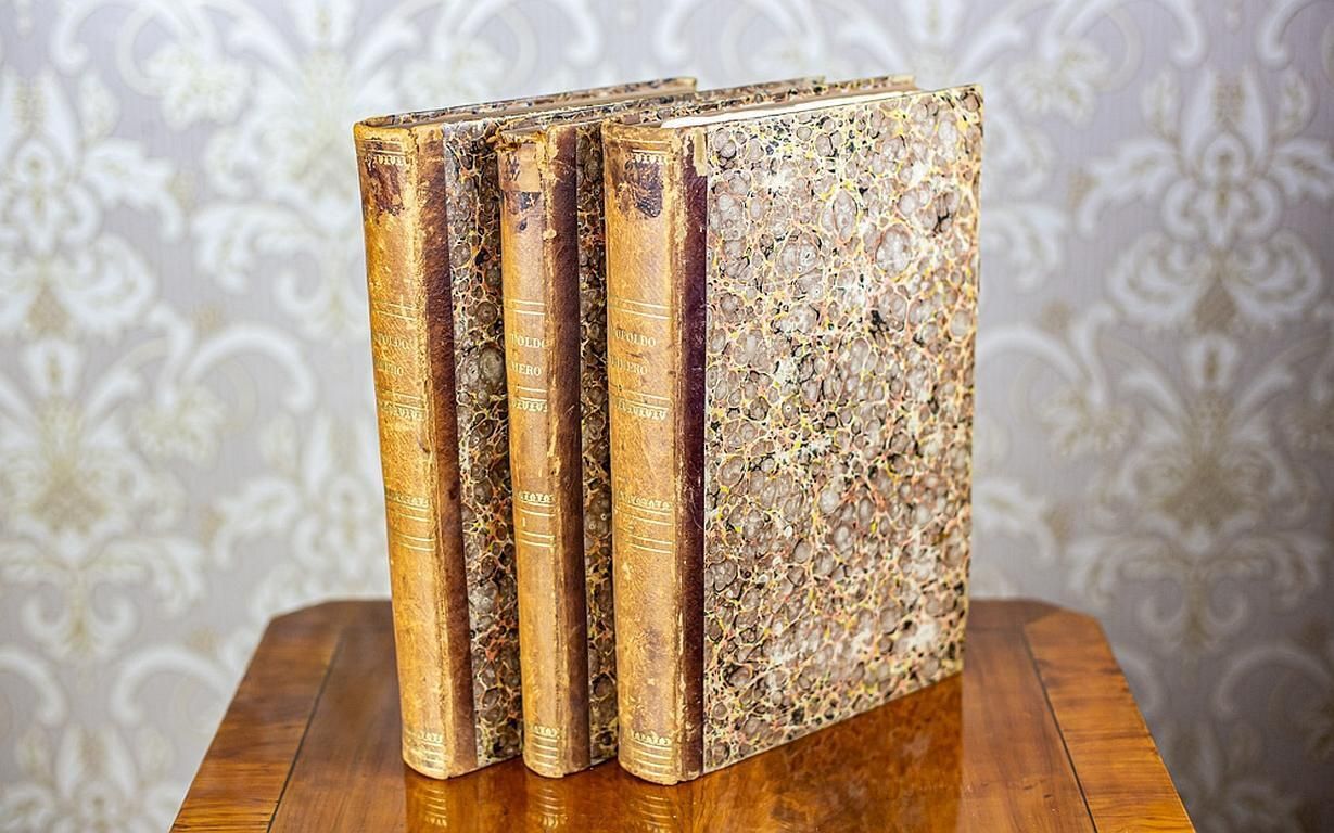 Antique Books Circa 1696, The Life Of Leopold I Hapsburg photo furniture