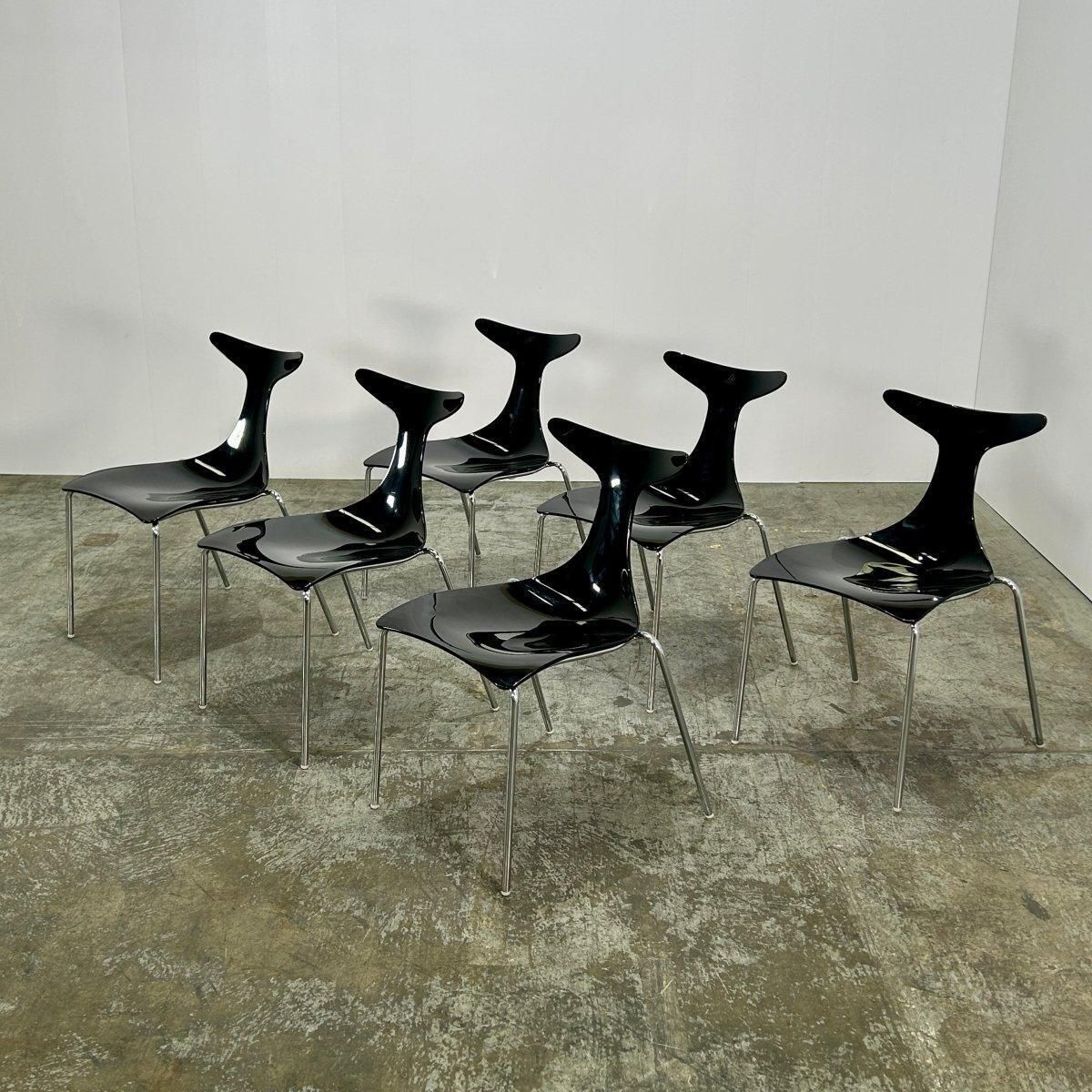 photo buy Ciacci Kreaty Delfy Dining Chairs By Gino Carollo, Set Of Six