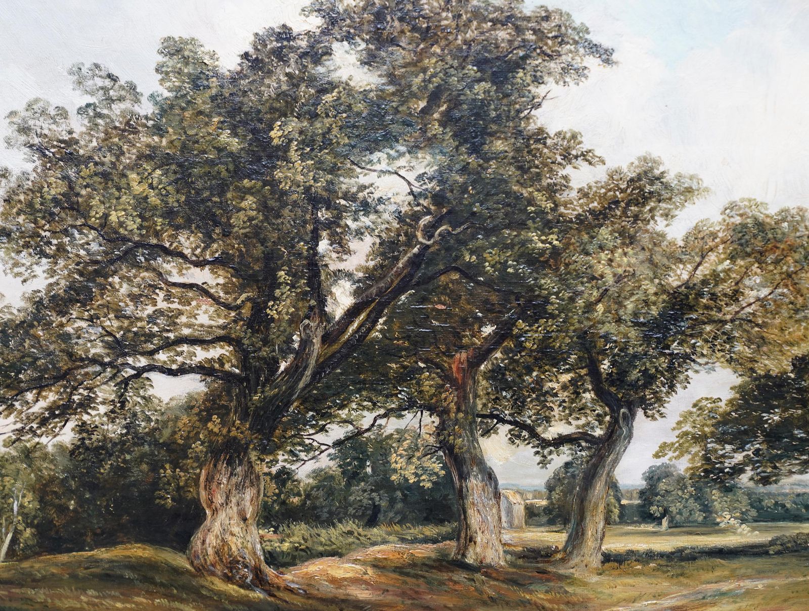 Samuel Boughcadzow Forest Scotland   British Mid 19thc Art Scottish Landscape Oil Painting1855 photo vinterior