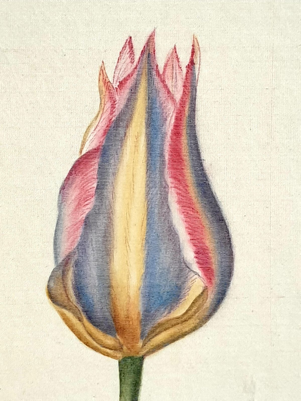 Botanical Studies, Watercolours On Silk On Handmade Paper, Set Of Three Tulips By La Roche Laffitte photo vinterior