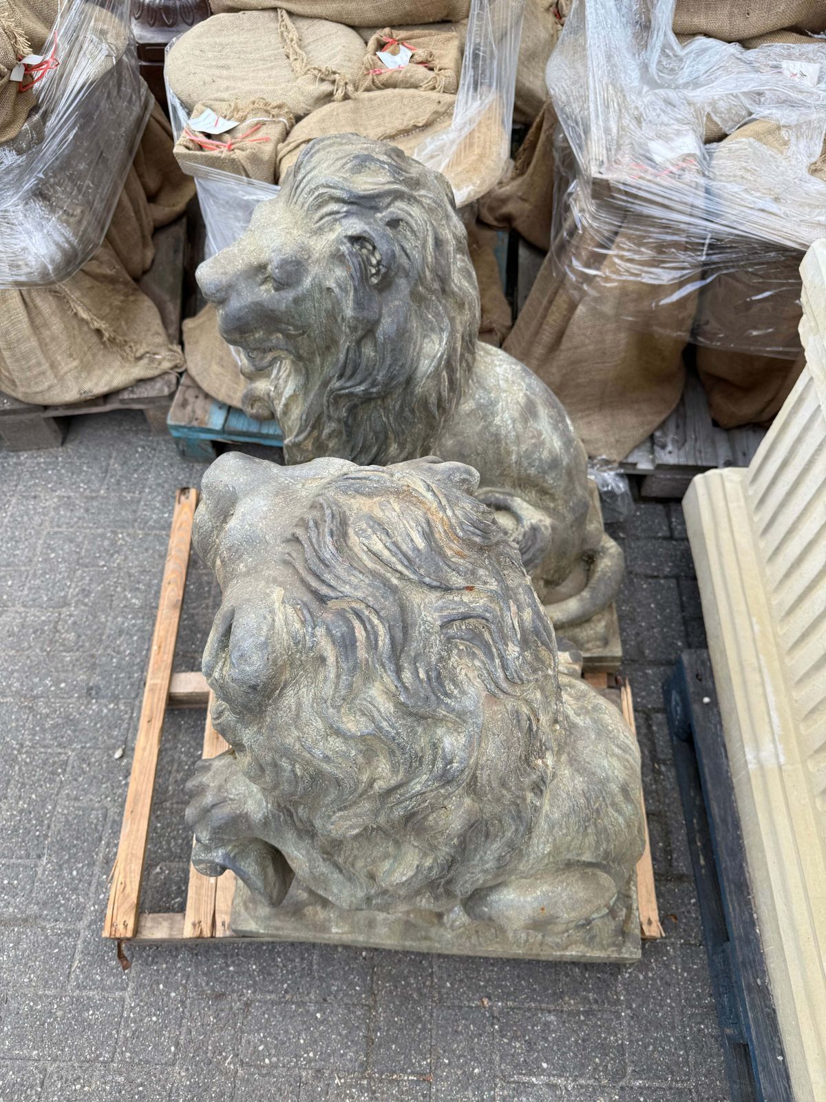 Pair Of Beautiful Bronze Lions Standing 3.5ft Tall photo 3995.0