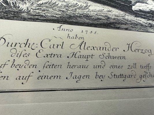 Johann Elias Ridinger, Wild Boar, Etching, 18th Century photo 631.0