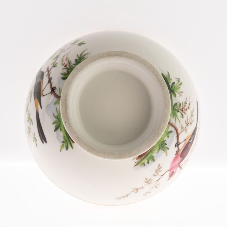 Antique Early 19th Century Paris Gilt Porcelain Ornithological Hand Painted Birds Bowl photo vinterior