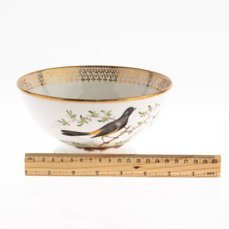 Antique Early 19th Century Paris Gilt Porcelain Ornithological Hand Painted Birds Bowl photo buy