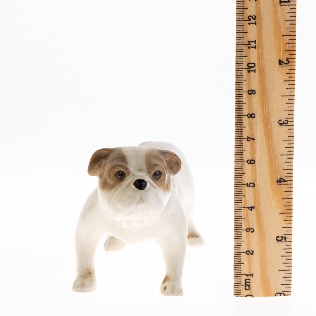 Mid Century Burslem Porcelain Ceramic Bulldog Figure photo for sale