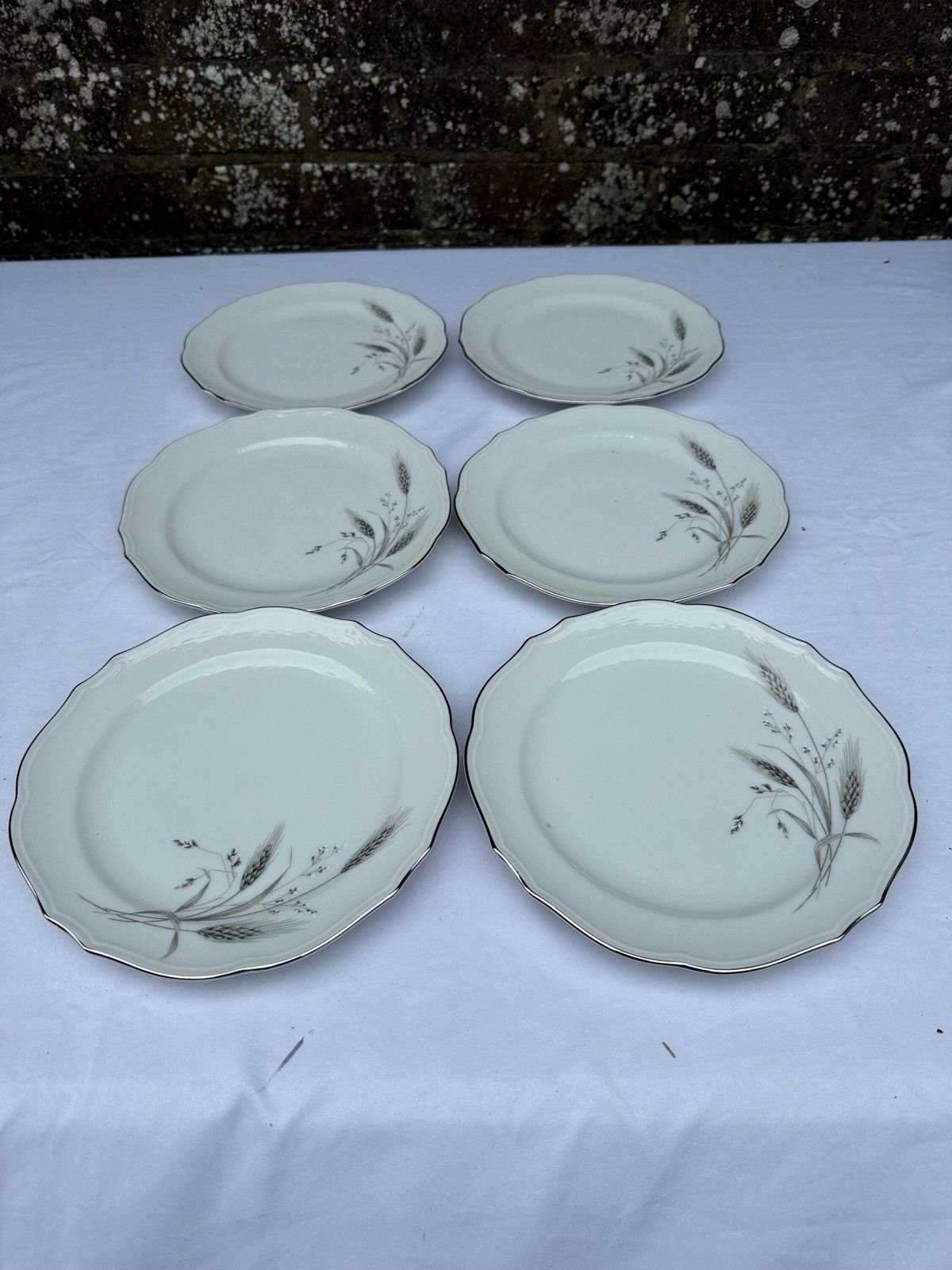 Vintage Winterling Bavarian Porcelain Dinner Service, Silver & Grey Botanical, West German China Service   40 Pieces, 6 Place + Setting Plus photo Home Decor
