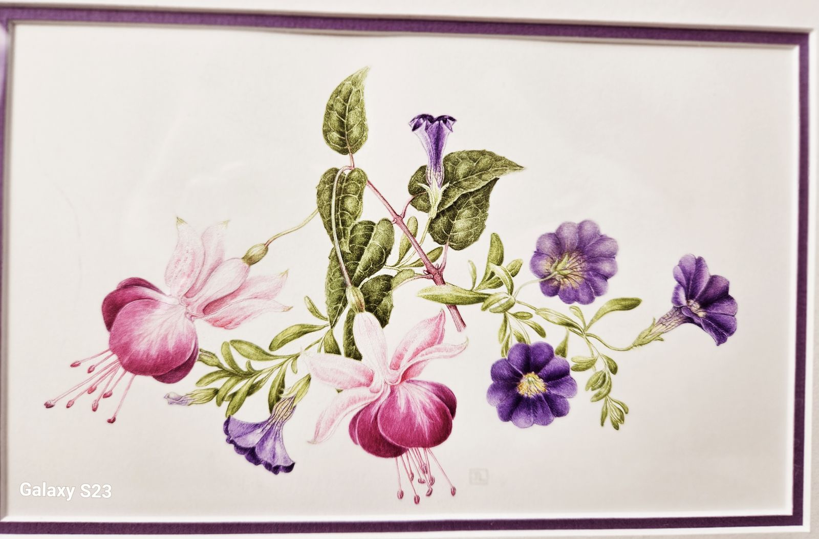 Trio Of Exquisite Botanical Floral Watercolours In White Wood Frames photo for sale