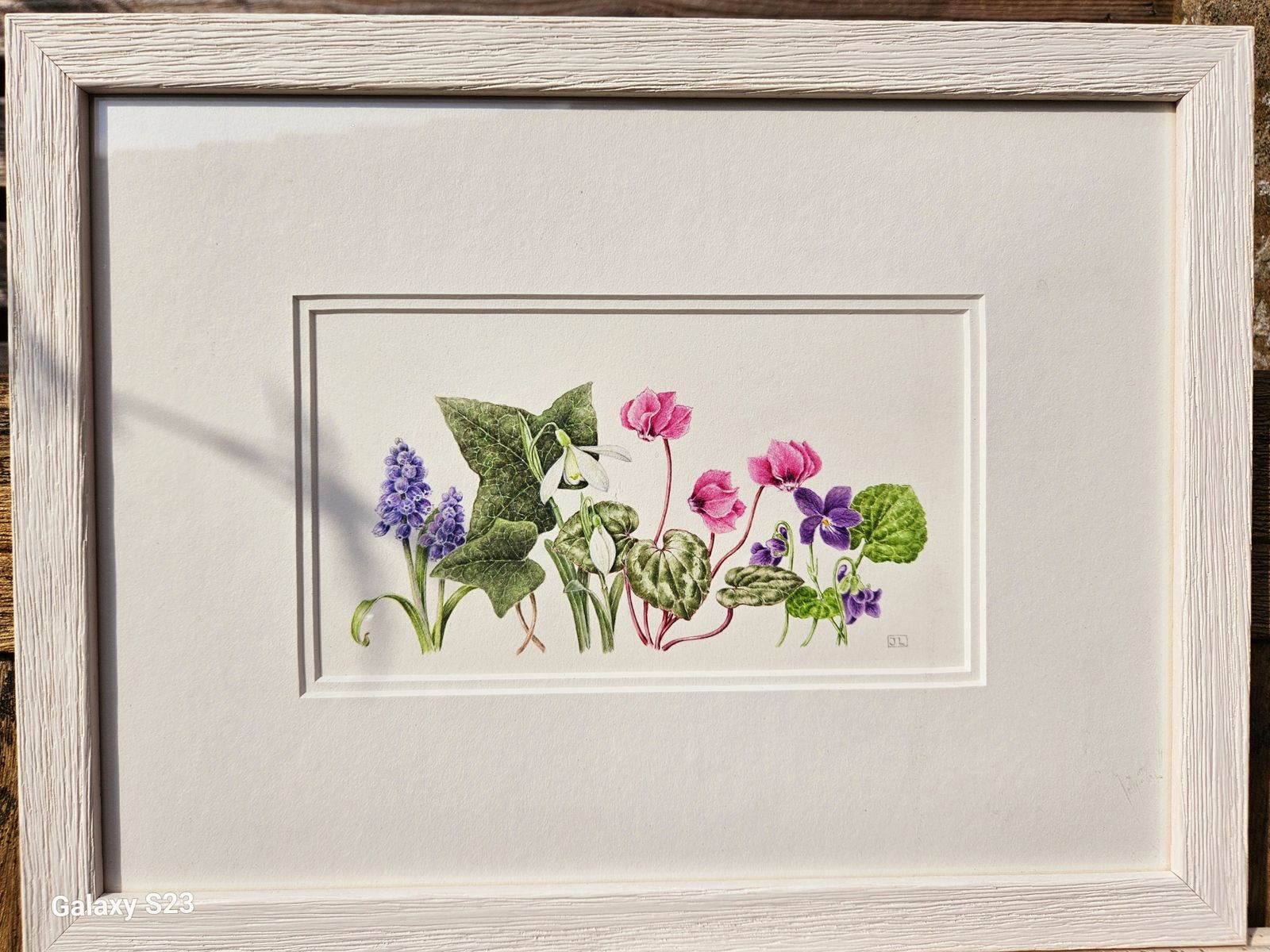 Trio Of Exquisite Botanical Floral Watercolours In White Wood Frames photo vinterior