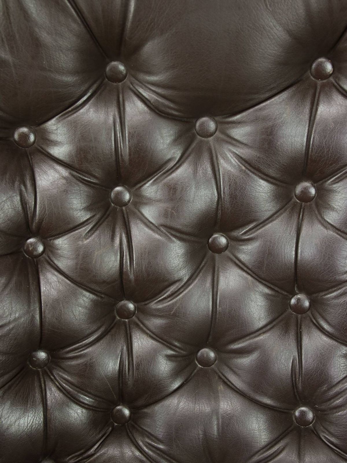 photo vintage Luxurious Lounge Armchair In Leather, 1970s