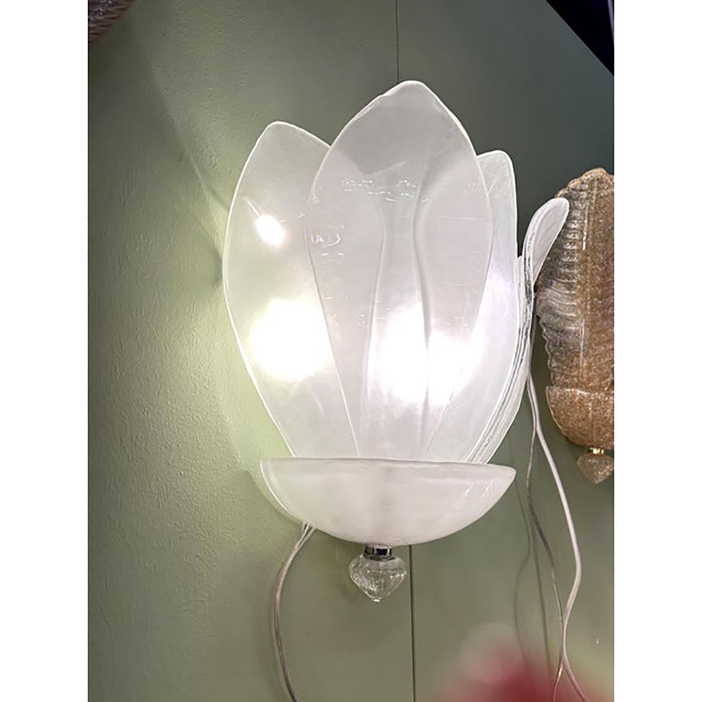 Contemporary Venetian Sanded Murano Glass Floreal Wall Sconces Set Of Two photo for sale