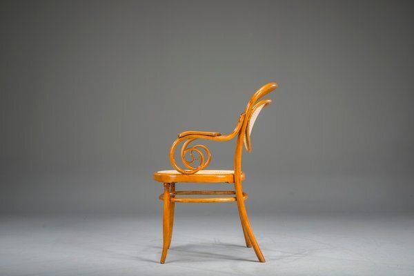Furniture Antique Vienna Chair From Thonet, 1860s photo