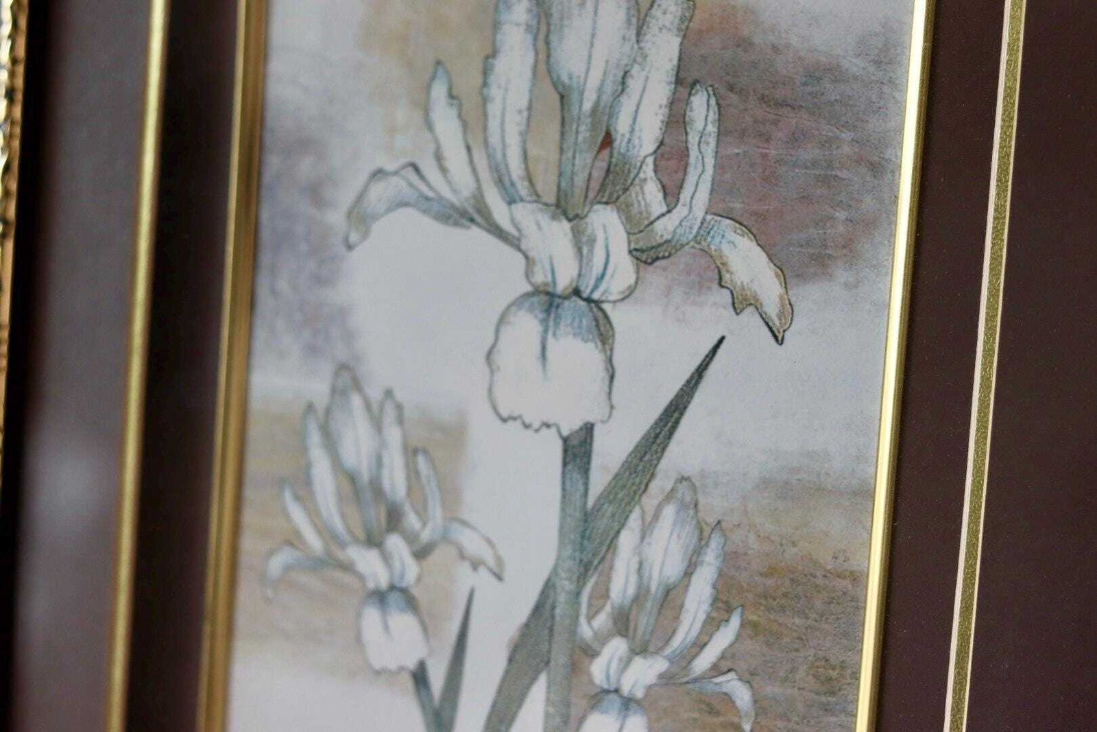 Mid Century Original Swedish  "Trio Of Flower Prints" –  Vintage & Framed, 34 X 54.5 Cm / 13.4 X 21.5 In photo for sale