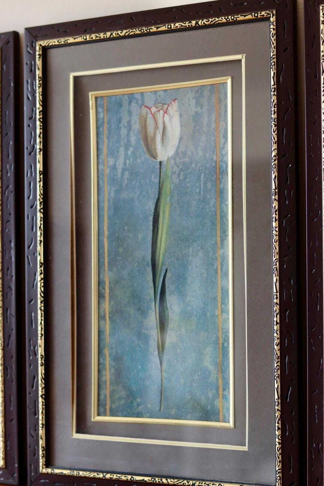 Mid Century Original Swedish  "Trio Of Flower Prints" –  Vintage & Framed, 34 X 54.5 Cm / 13.4 X 21.5 In photo buy