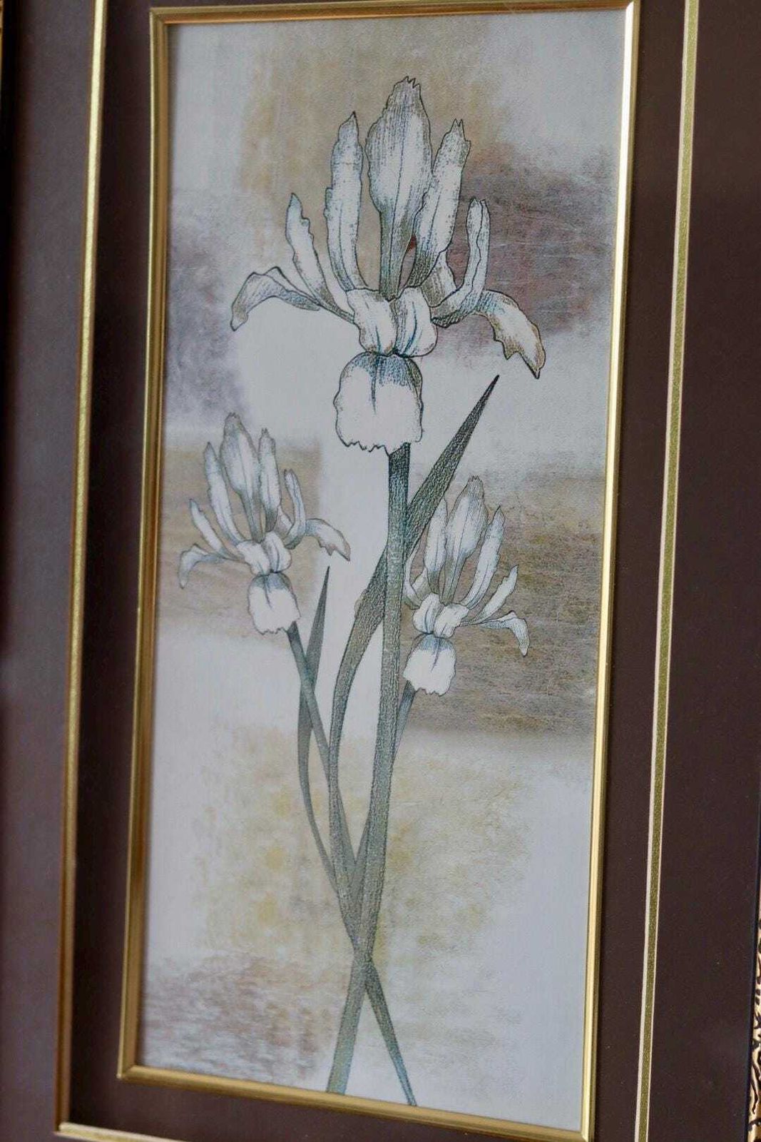 Mid Century Original Swedish  "Trio Of Flower Prints" –  Vintage & Framed, 34 X 54.5 Cm / 13.4 X 21.5 In photo vintage