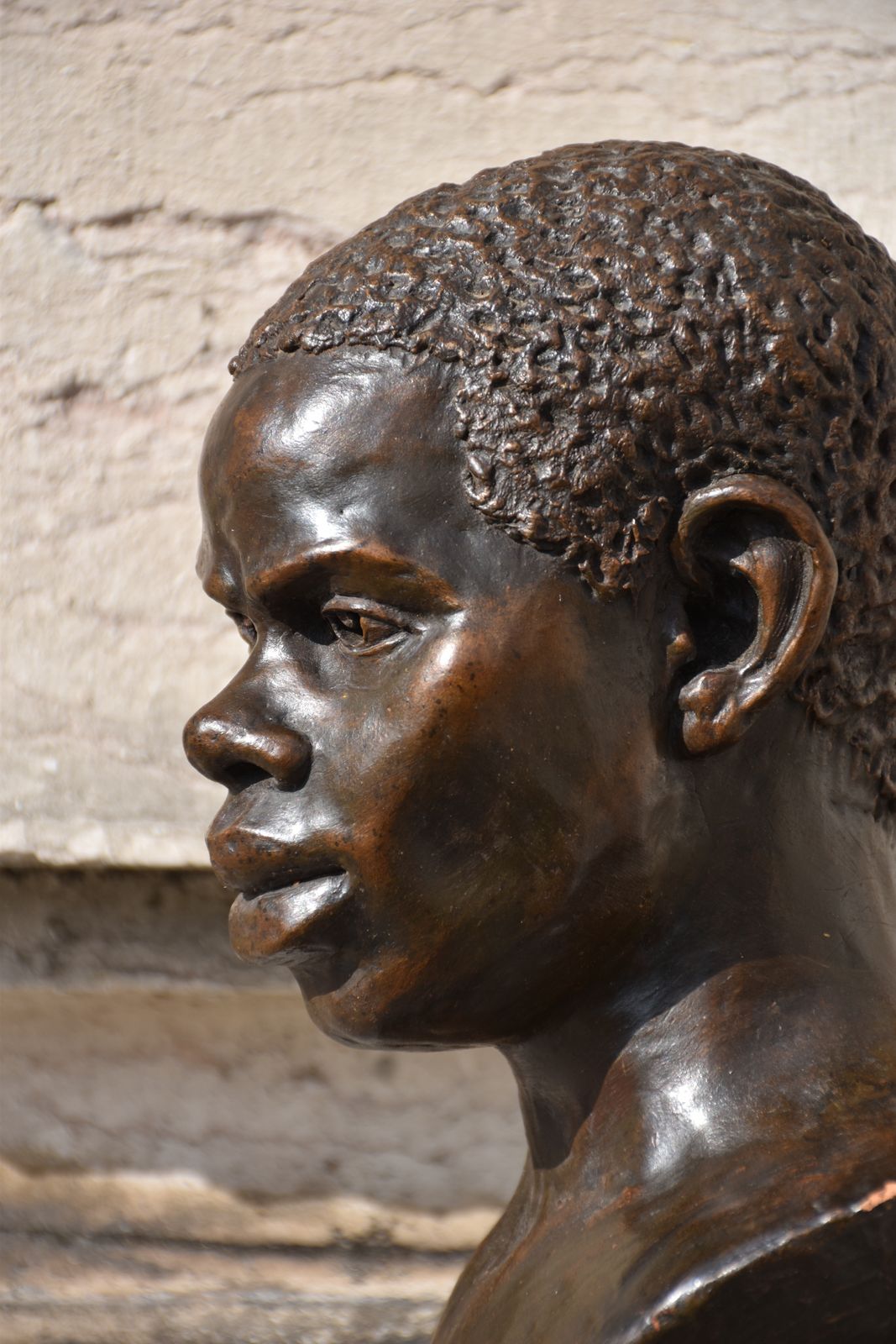 5500.0 James Havard Thomas, Head Of A Young Man (1884) photo