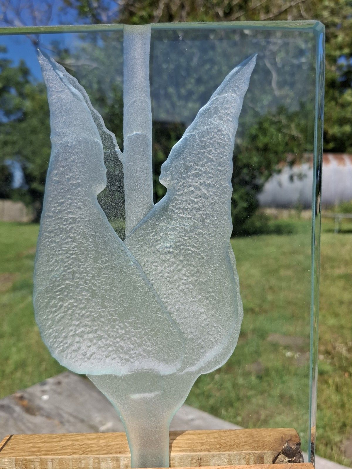 Art Contemporary Tim Carter Rutland Glass Plaque  Mouse Ear Chicweed Engraving photo