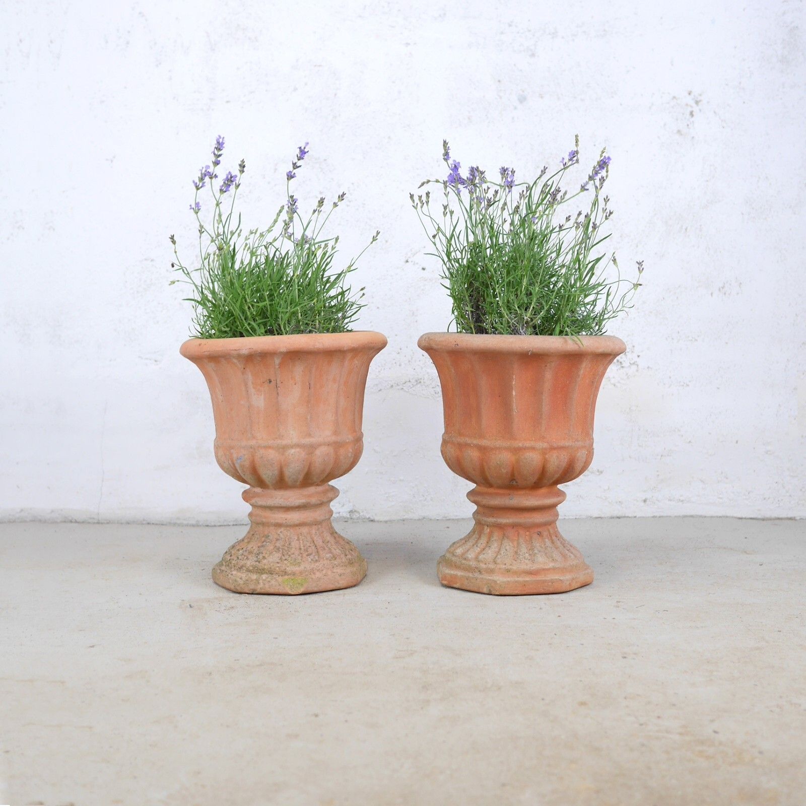 Pair Weathered Terracotta Garden Urn Tazza Planter Antique Style #102925