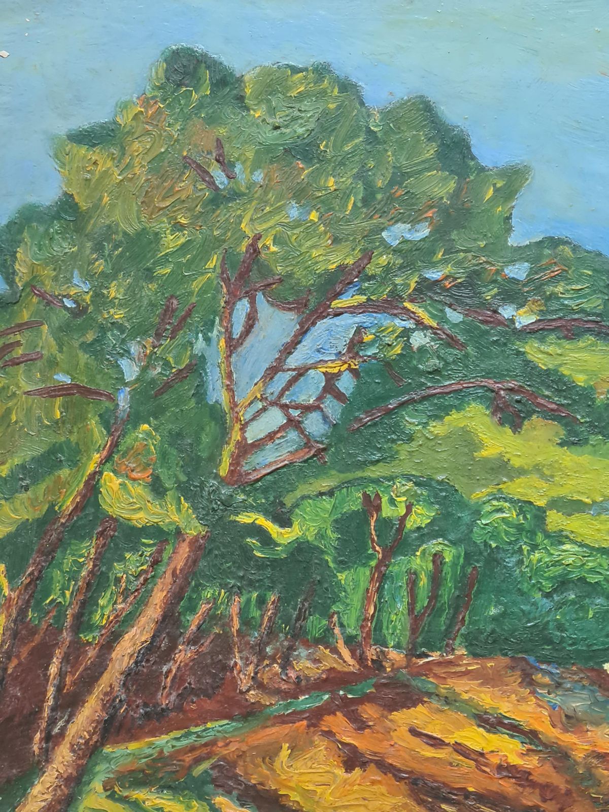 Fauvist Marine Landscape, The Cote D'azur photo vinterior