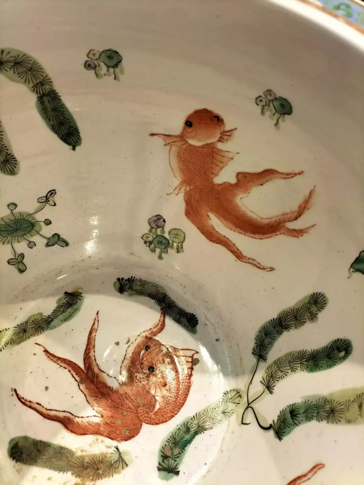 photo buy 19th Century Aquarium Pot In Porcelain, China.