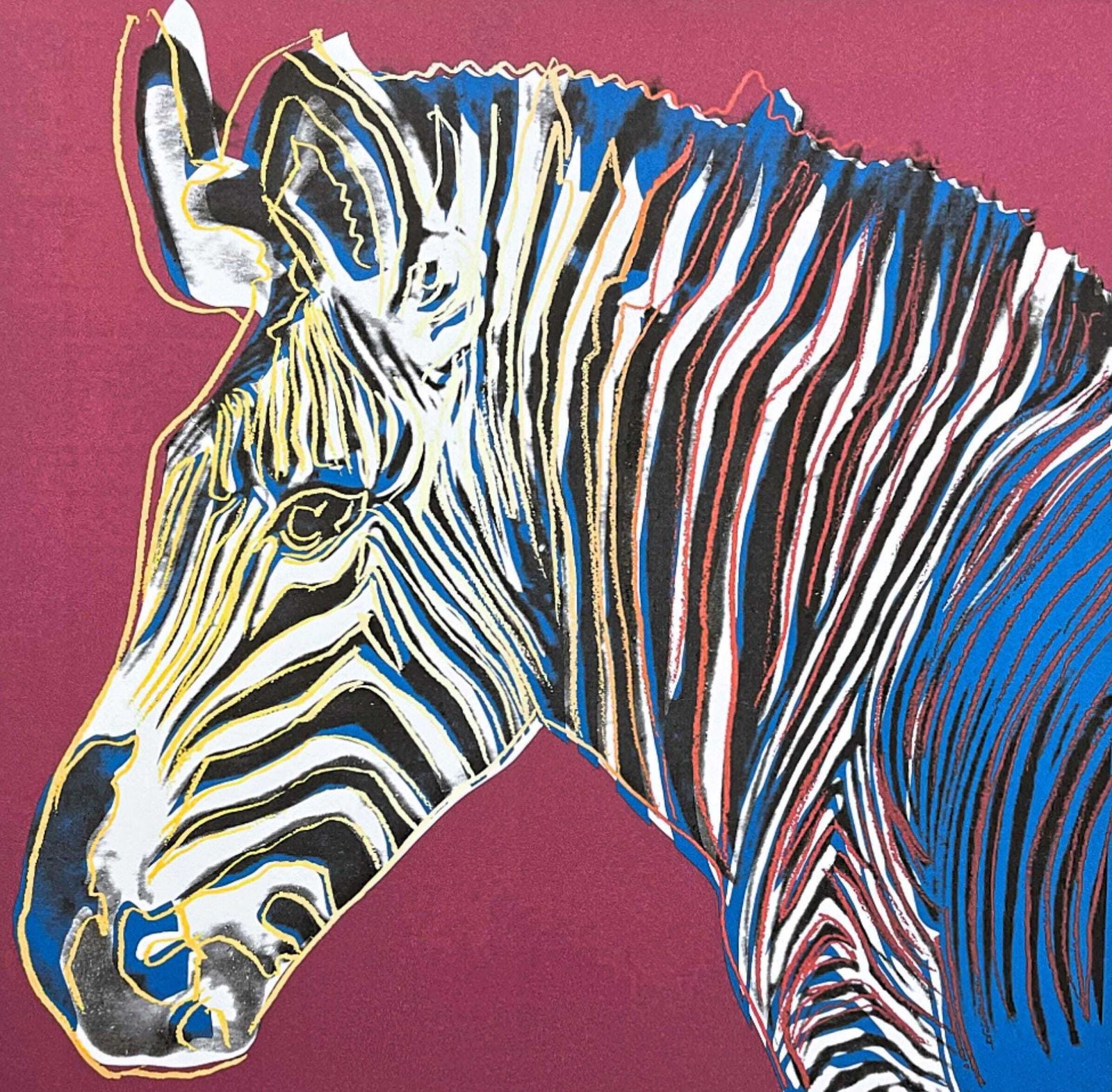 Andy Warhol  Grevy’s Zebra   Signed, Certificate, Limited Edition Of 100, 38 X 56 Cm, Edition Leo Castelli #Warhol photo furniture
