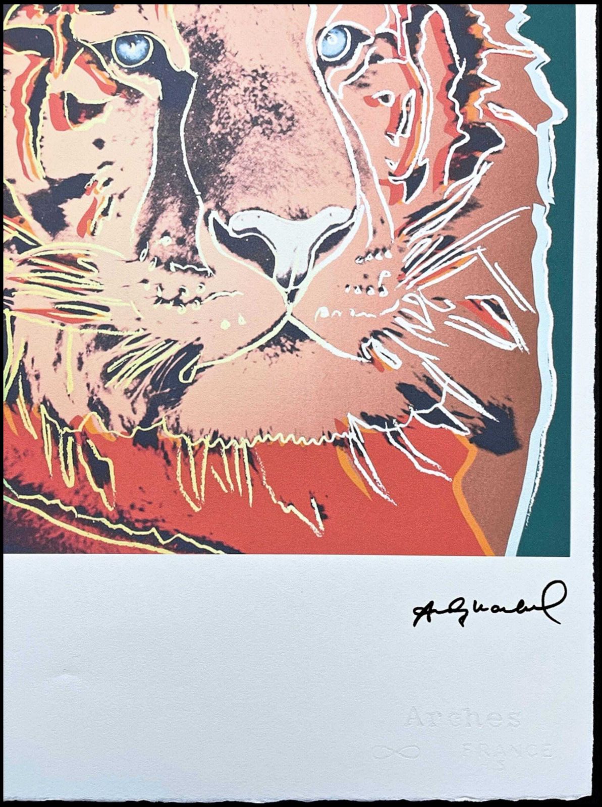 Andy Warhol “Tiger” Signed, Limited Edition Of 100, 38 X 56 Cm, Edition Leo Castelli #Warhol photo Art