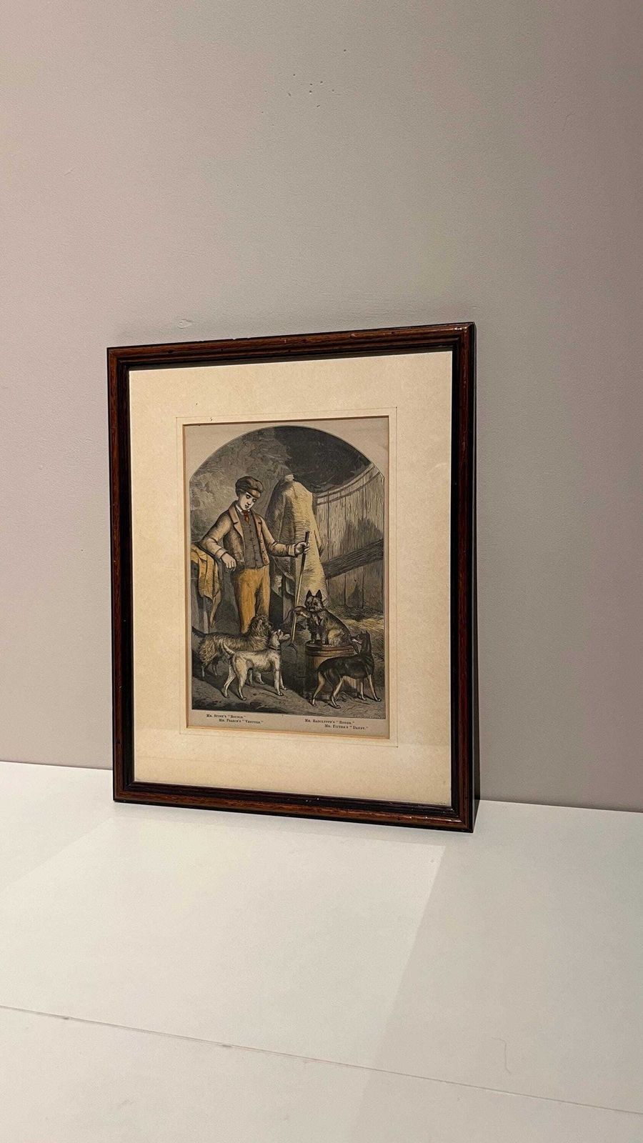 photo for sale Antique 19th Century Book Print Of Dog Breeds And Handler – Framed And Glazed