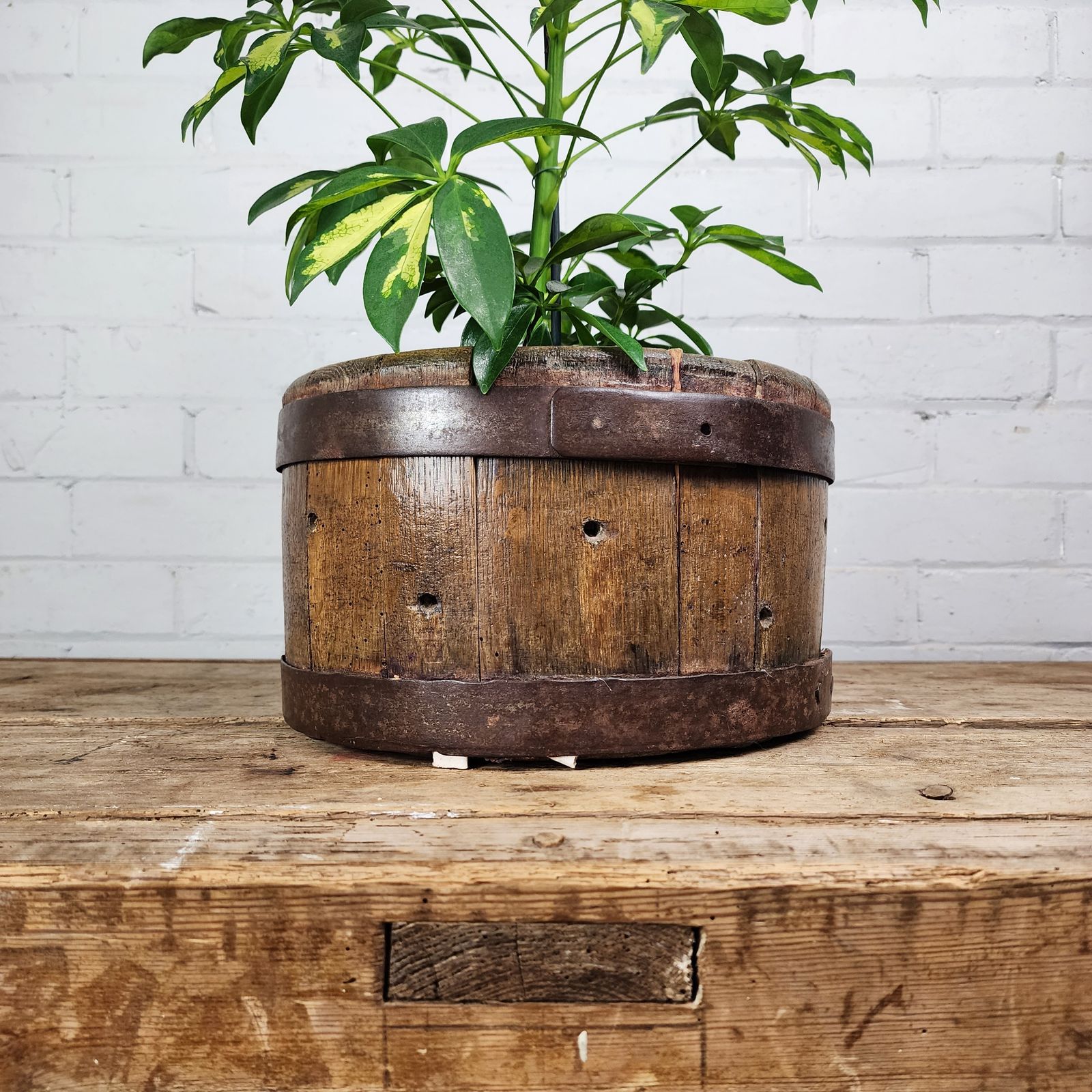 19th Century Oak Quarter Bushel (Peck) Measure.