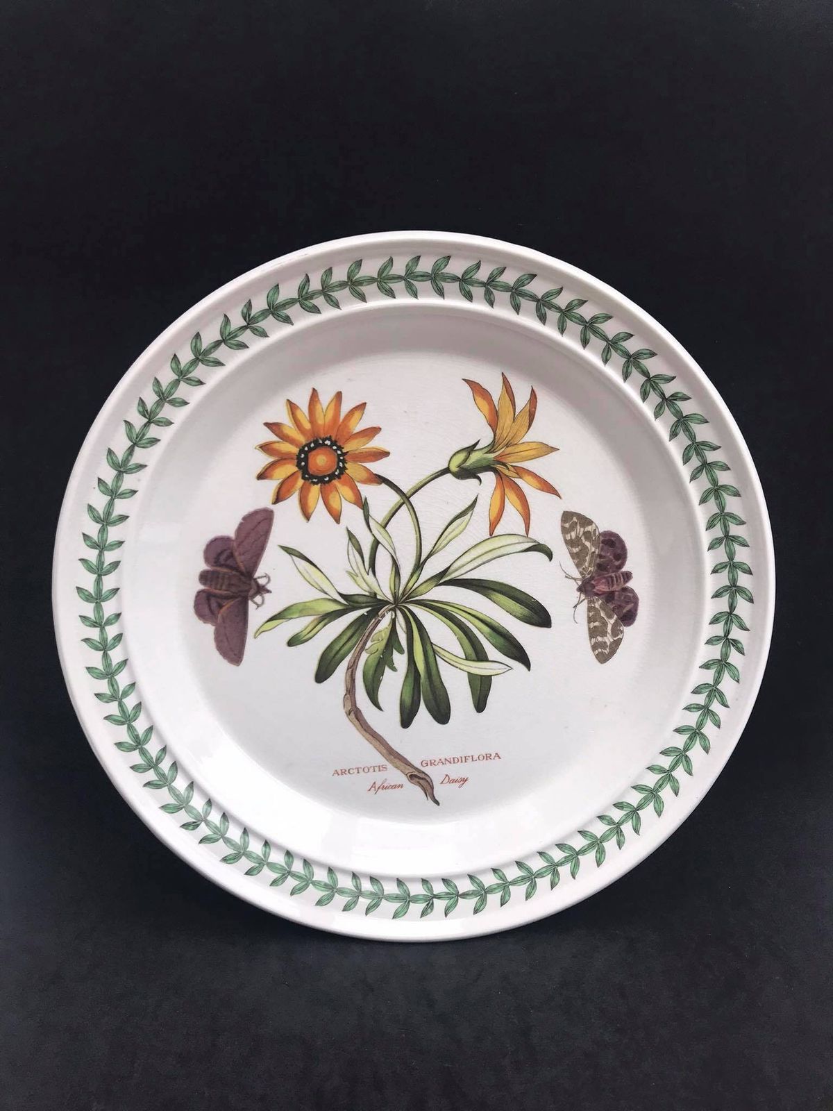 Portmeirion Botanica Dinerbord, Jaren 70, Botanic Garden Patroon, "Cistus Purpureus / Woody Nightshade", Made In England, Losse Aanvulling Op Bestaand Servies photo furniture