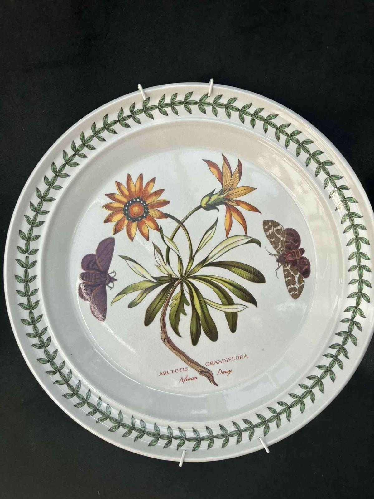 Portmeirion Botanica Dinner Plate 70s Botanic Garden Dinner Plate Cistus Purpureus" Woody Nightshade Made In England China Replacement photo for sale
