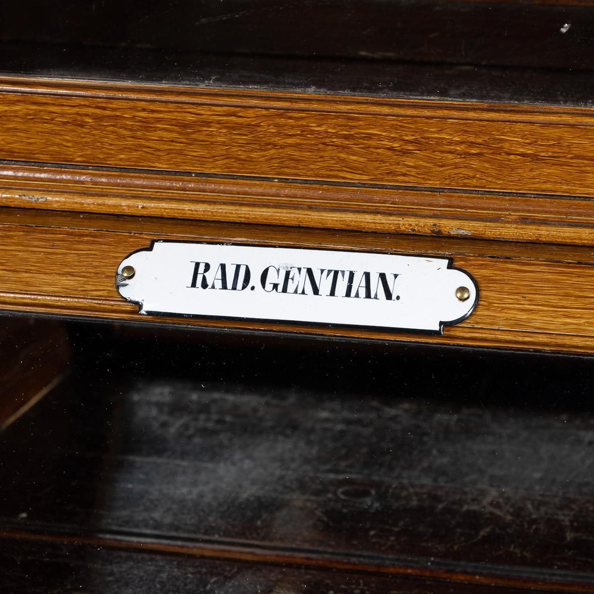 Antique 20th Century French Scumbled Pine & Glass Pharmacy Cabinet C.1900 photo 5498.0