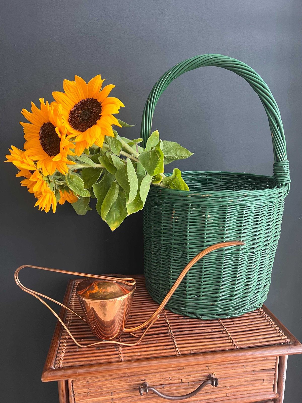 Vintage Sigg Copper Watering Can   Mid Century Modern Swiss Design photo 203.0