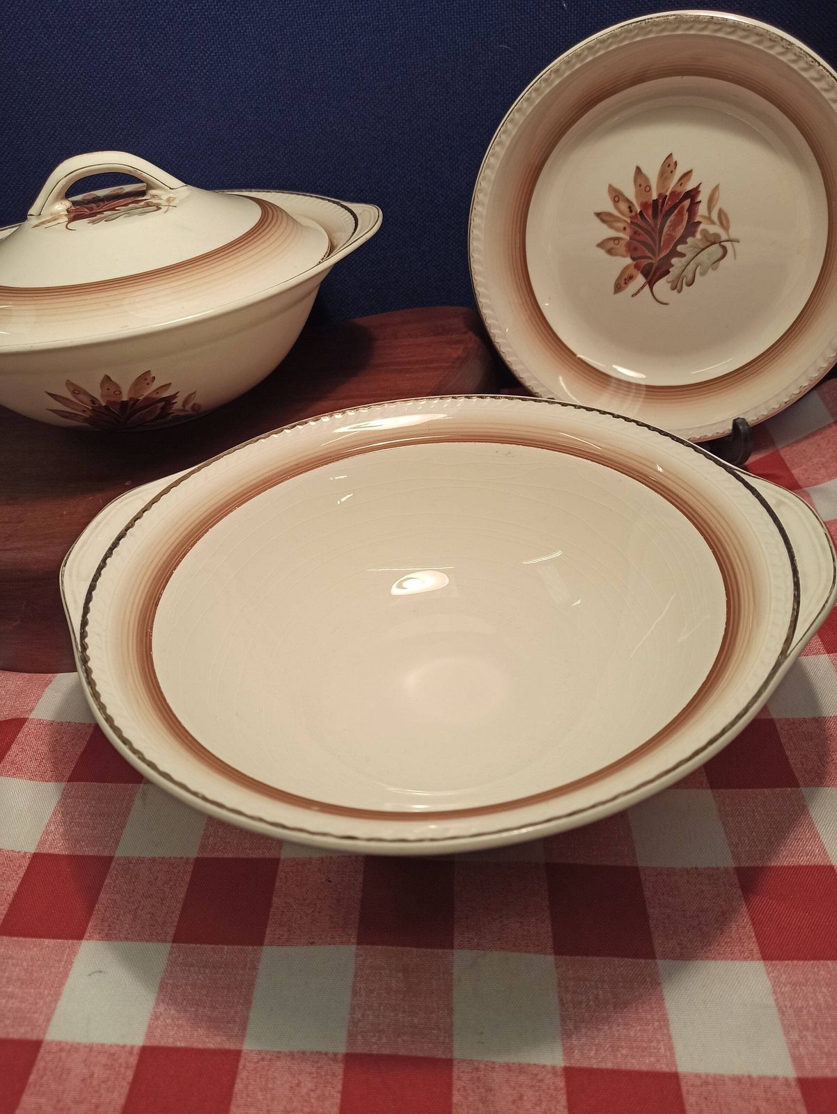 Portland Pottery Cobridge Part Dinner Set. 1957. Good Condition. photo Home Decor
