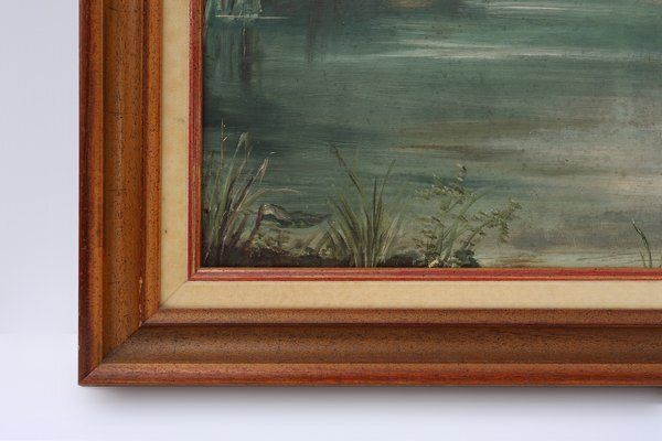 French Artist, Birds In Water, 1960s, Large Oil On Canvas, Framed photo for sale