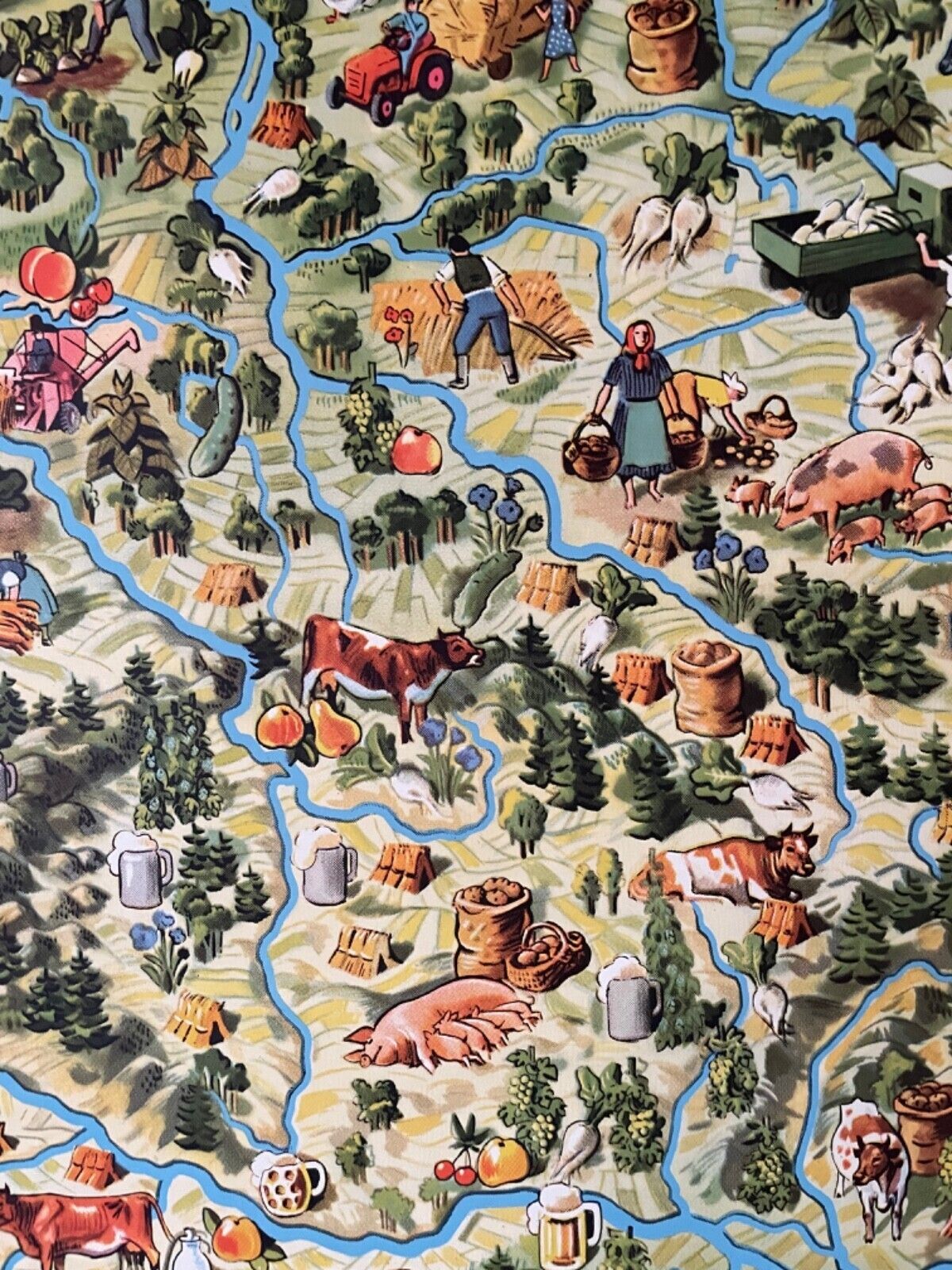 photo furniture Vintage Pictorial Map Of Mid Europe School Chart Agriculture & Fishing