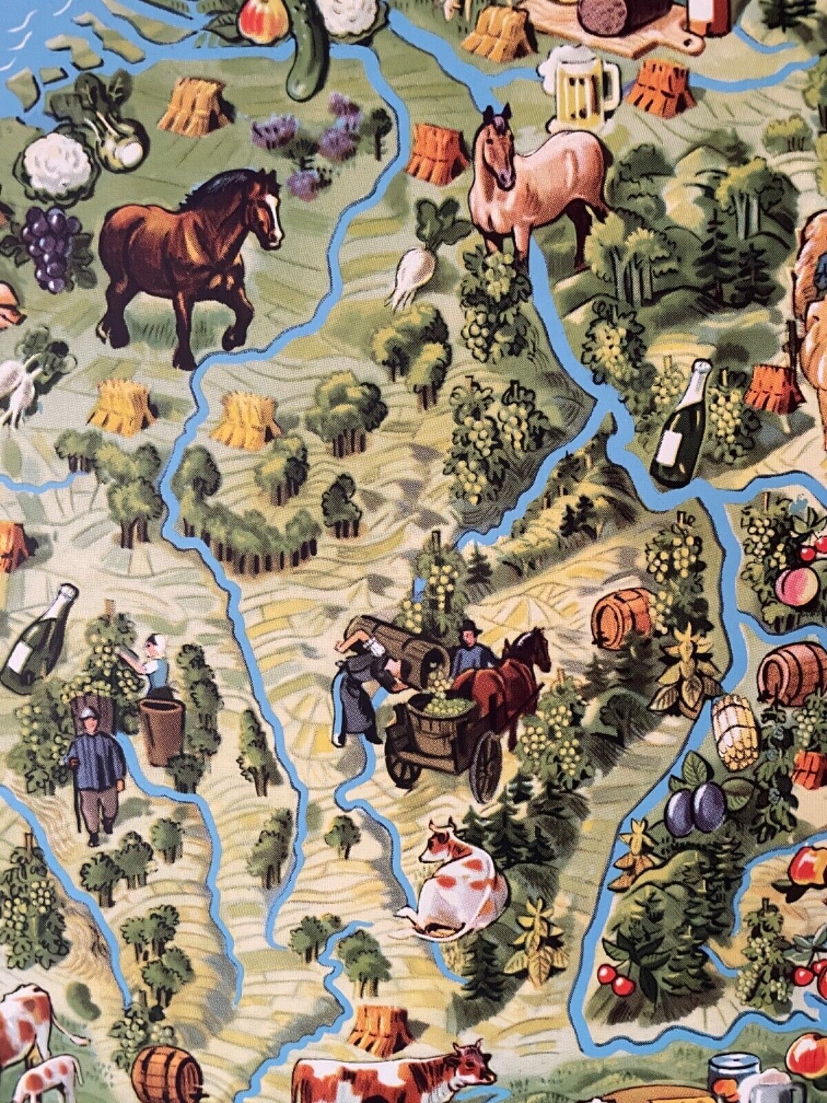 Art Vintage Pictorial Map Of Mid Europe School Chart Agriculture & Fishing photo